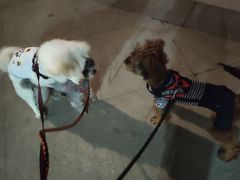 -胖哥俩肉蟹煲(福州仓山爱琴海店)