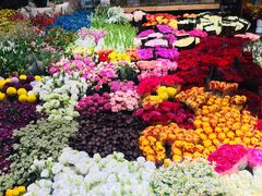 -双季花艺园艺市场(浦东店)