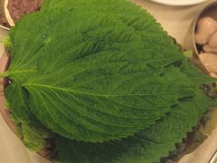 -福云龙(黄河南大街店)