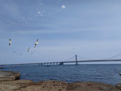 -星海广场
