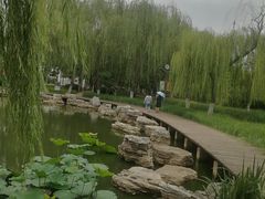 -南翠屏公园