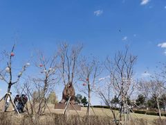 -莫子山公园