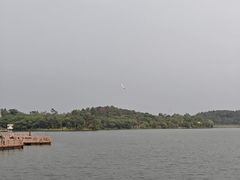 -美的鹭湖森林度假区
