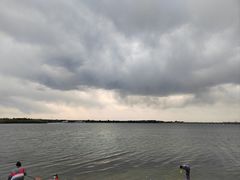 -丁香湖公园