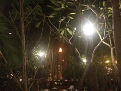 -月满港海鲜酒家