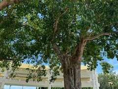 -三亚南山文化旅游区