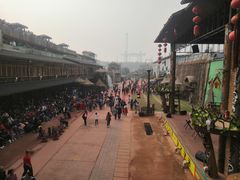 -呀路古热带植物园