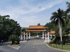 -深圳仙湖植物园