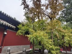 -北京鹫峰国家森林公园