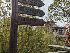 -上海崇明金茂凯悦酒店