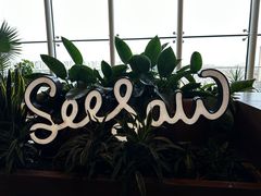 -Seesaw Coffee(朝阳大悦城店)