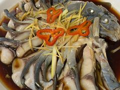 -煲来饱去冷水鱼