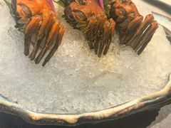 -福玺荟(外滩罗斯福店)