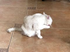 -青春加萌照相馆