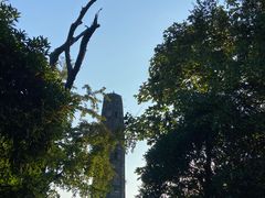 -上海佘山国家森林公园天马山园