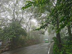 -岳麓山风景名胜区