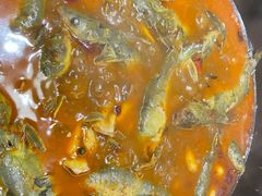 -小小河边鱼·黄辣丁鲜鱼锅(黎阳店)