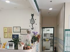 -中农国际动物医院24小时·猫科·骨科·急重症中心