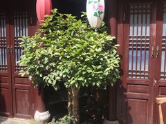 -许老八包子铺(回龙窝店)