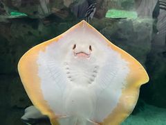 -珠海长隆海洋王国