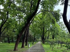 -玲珑塔公园