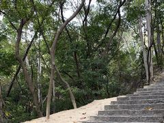 -火炉山森林公园