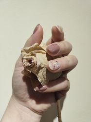 -Miss·A日式美甲美睫