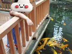 -南宫五洲植物乐园