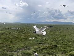 -花湖生态旅游区