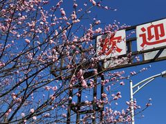 -北京鹫峰国家森林公园