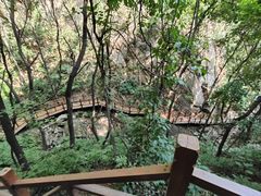 -大岭沟猕猴桃谷风景区