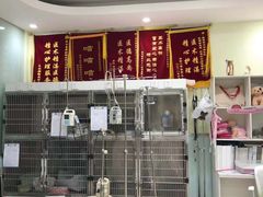 -悦宠动物医院(京丰分院)