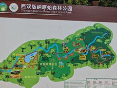 -西双版纳原始森林公园