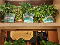 -雅酌园·烟火南京菜(颐和路店)