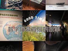 -四川大学博物馆