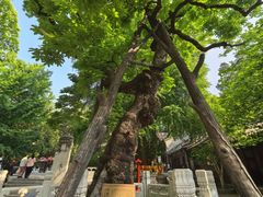 -潭柘寺景区