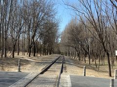 -将府公园