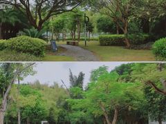 -惠和石文化园