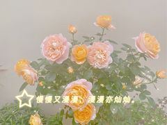 -奈诺甜品·生日蛋糕·下午茶(古城店)