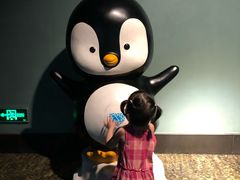 -成都浩海立方海洋公园