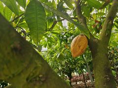 -歌斐颂巧克力小镇