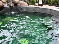 -余姚阳明温泉山庄