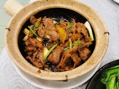 姜汁啫啫牛肉煲-粤·向群饭店(龙津东路总店)
