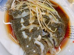 清蒸多宝鱼-北戴河庆山饭店·海鲜砂锅粥(北戴河黑石路店)