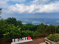 -东莞市大岭山森林公园