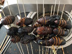 -丹东丛炟海鲜烧烤(江艺路店)