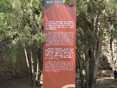 -白塔山公园