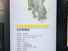 -湖南省地质博物馆