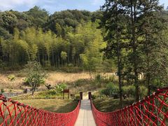 -韶关经律论国际酒店温泉