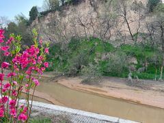 -渭南桃花源民俗文化园